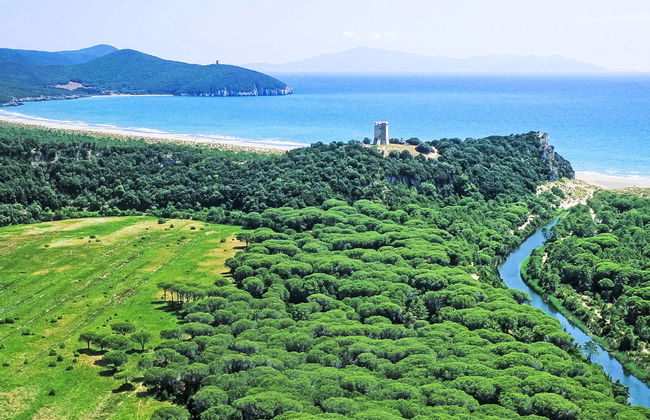 Casa Polipo - Foto 32