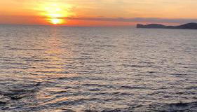 Giulio's House - Foto 4