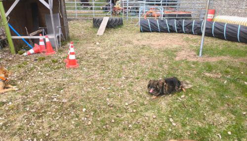 Simple 2-Person Apartment near Altdorf - Foto 4