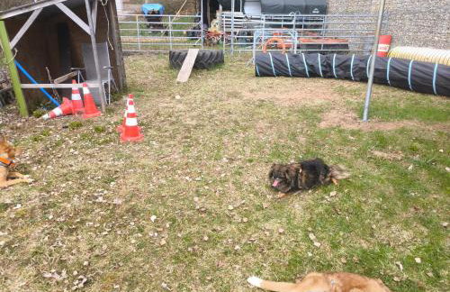 Simple 2-Person Apartment near Altdorf - Foto 4