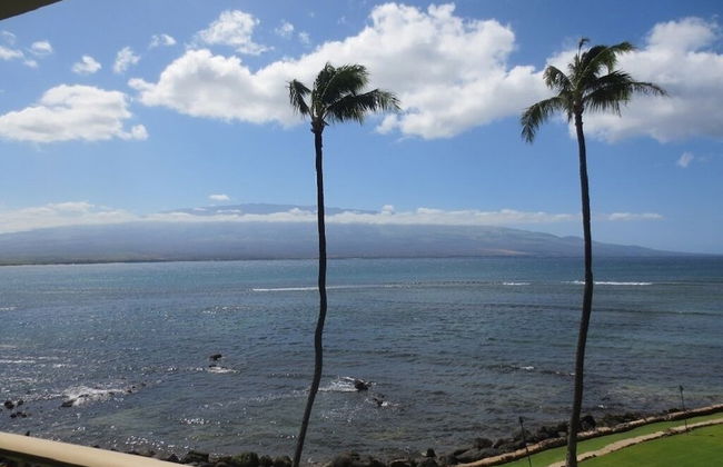 Maalaea Kai 316 1 Bedroom Condo by RedAwning - Foto 28