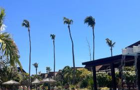 Taiba Beach Resort - Foto 23