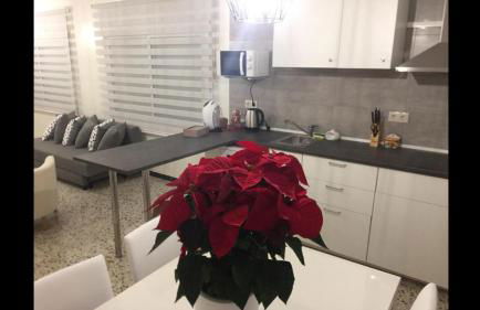 LA TERRASSETA - Foto 3