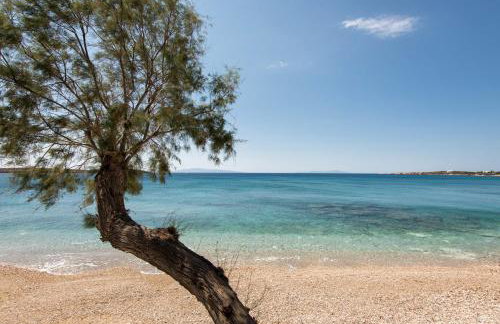 Apartments Tarsa - Photo 19