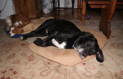 The Old Pump House - Photo 11