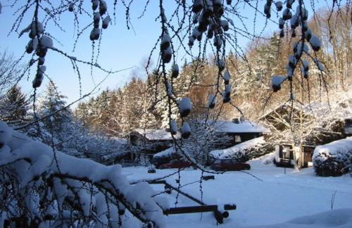 Haus 2 - Typ A (Appartement) - Foto 11