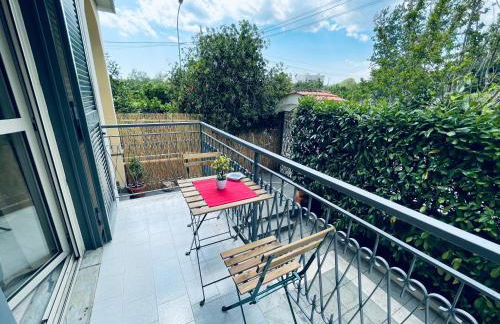 Vesuvius garden - Photo 20