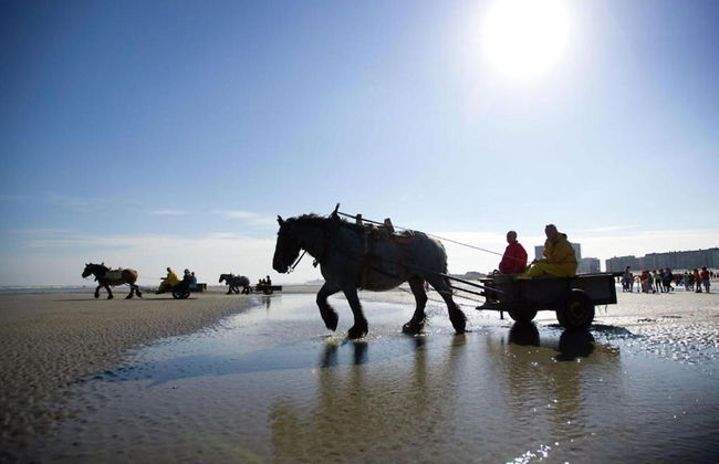 Bright Attic With Sea Breeze - Foto 39
