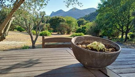 Les jardins de Foata - Foto 3