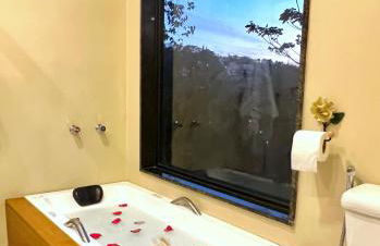 Casa do Alto Santa Mônica- Natureza ao seu redor - Foto 24