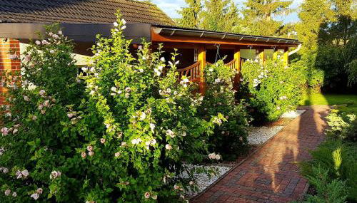 Satow Gartenwohnung - Photo 5