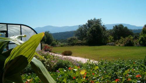 Apartamentos El Jardín del Poeta - Foto 3, Garden view