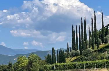 La casa in collina - Foto 51