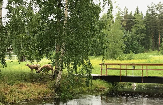 Niemitupa Apartments - Foto 78