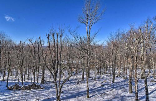 1 Mi to Beech Mtn Cabin with Fire Pit and BBQ! - Foto 30