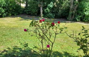 Charmante maison CHUFAC Futuroscope 15 min - Foto 1