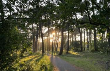 Villa Atlantis en bois - Foto 15