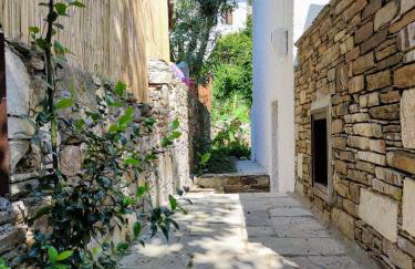 Flower house - Foto 24