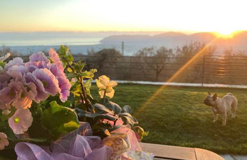 A CASA DI OLIVO - Foto 66