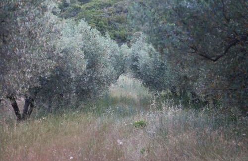 Mas de Baubesse: Paradise in Provence - Foto 32