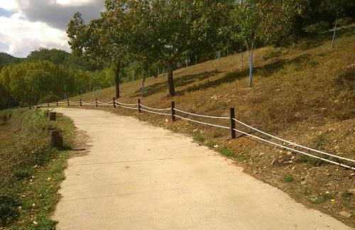 Alojamento Local Madre de Cima - Foto 43