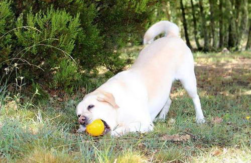 Cabañas Vallecino - Foto 16