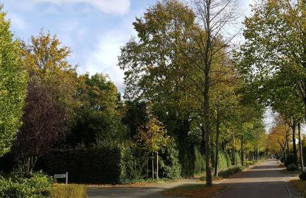 FeWo Grafschaft - Foto 2