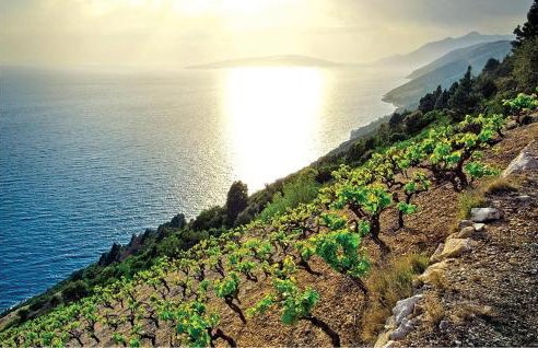 Gorgeous Home In Janjina With Sauna - Foto 42