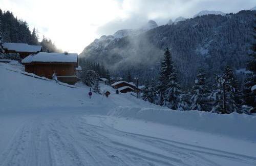 Chalet Jonquille - Foto 30