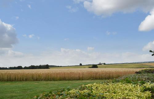 Alice Cottage - Photo 24