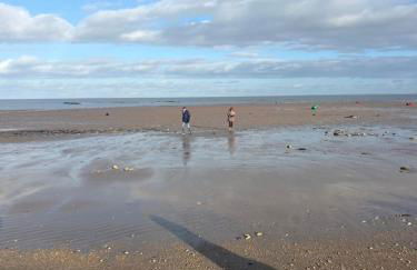 Villa Ernest, 100 m plage Saint Martin de Ré, quartier recherché de la Cible, calme absolu, piscine chauffée - Foto 41