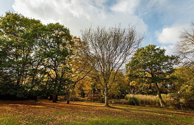 Breathtaking Elizabethan Manor House - Foto 21