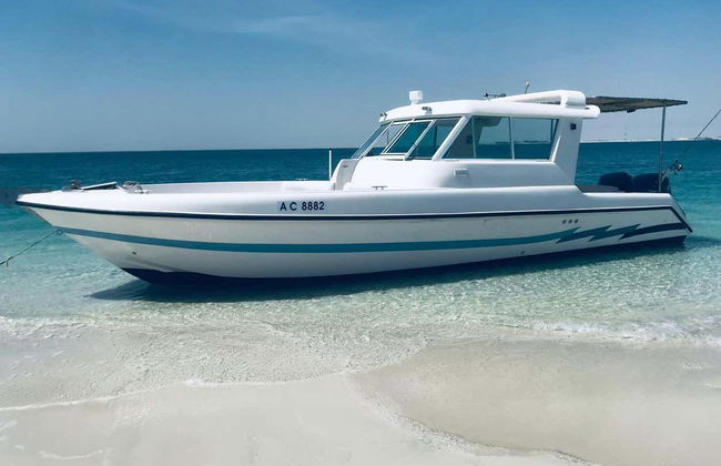 Al Bahrani & Dolphin Islands Day Trip - Foto 5