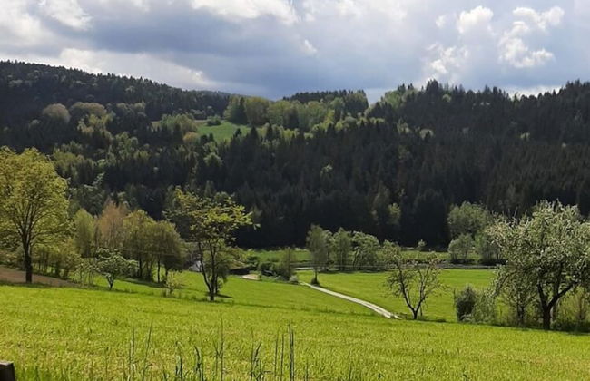 Ferienwohnung in Viechtach - Photo 25