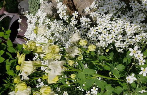 Frankenwaldhaus Comfortable Holiday Residence - Foto 27