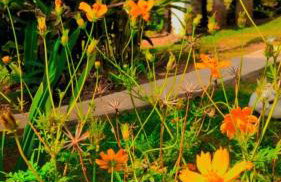 LUMA - Casa de Hospedaria - Foto 10