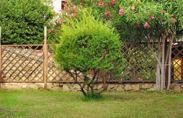 Charming house with terrace & garden - Loiri Porto San Paolo - Foto 11