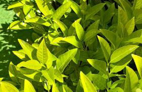 Duci Mondello Guesthouse - Foto 9