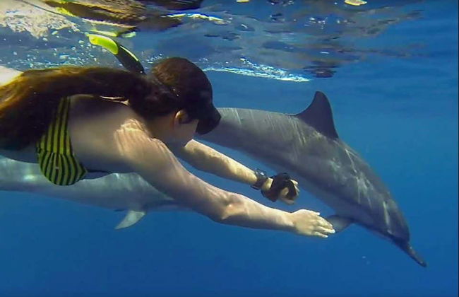 Swimming with Dolphins in Zanzibar - Foto 1