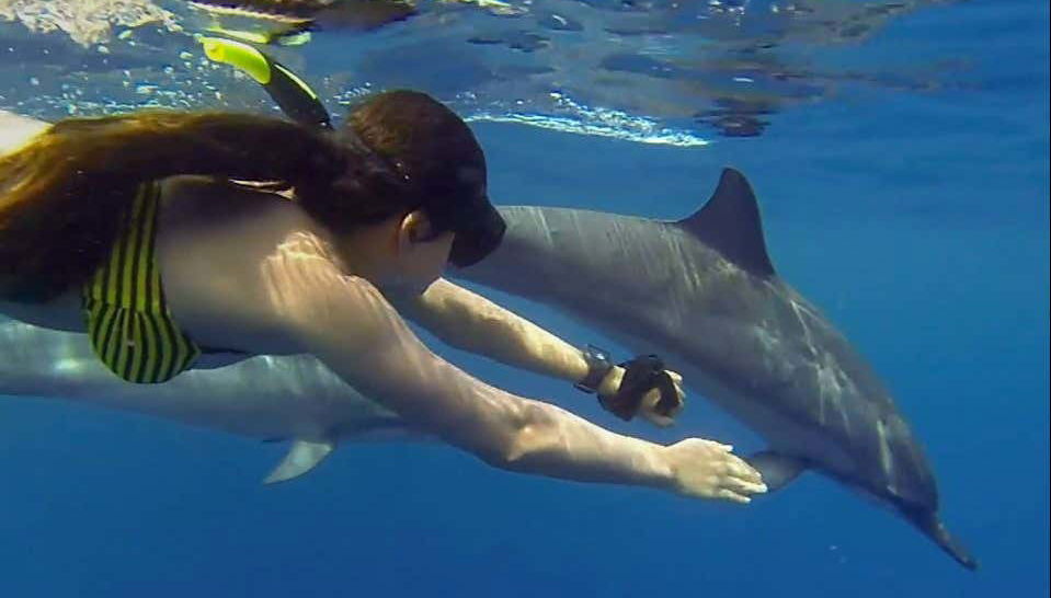 Swimming with Dolphins in Zanzibar - Foto 1