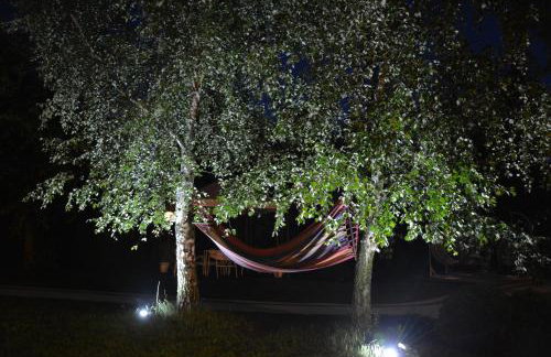 WILLA MAGNOLIA - Apartamenty i Pokoje SPRZĘT DO POŁAWIANIA BURSZTYNU -wodery, podbieraki, latarki UV - POKÓJ ZABAW- ROWERY - KAWA Z EKSPRESU - Foto 75