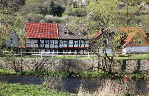 Ferienwohnungen mit Wellnessoase in Thale OT Altenbrak - Foto 20