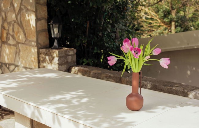 Step to Kotor bay Stoliv - Photo 58