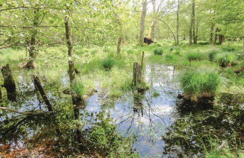 1 Bedroom Gorgeous Apartment In Rechlin - Photo 42