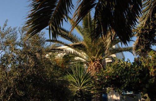 Lilo's Apartments - Foto 7