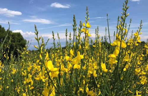 Casa con vista - Foto 36