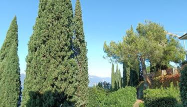 Bellavista Eremitaggio - Foto 2