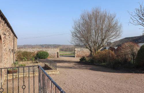 Periwinkle - Photo 4