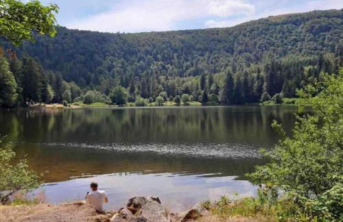 Elegant Chalet in Gerbepal in Cosy Environment - Foto 58