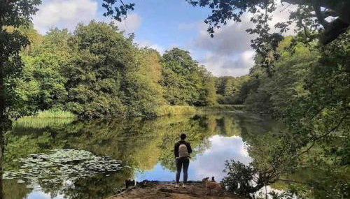 Summerhouse @ 73 (Forest of Dean) Gloucestershire - Foto 4